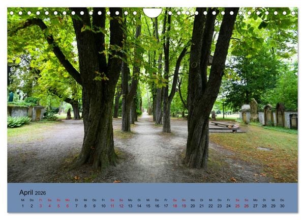 Produktbild: Wundervolles Freiburg (Wandkalender 2026 DIN A4 quer), CALVENDO Monatskalender
