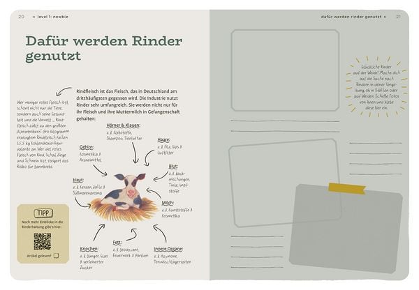 Produktbild: Dein Projekt. Dein Guide. Vegan leben