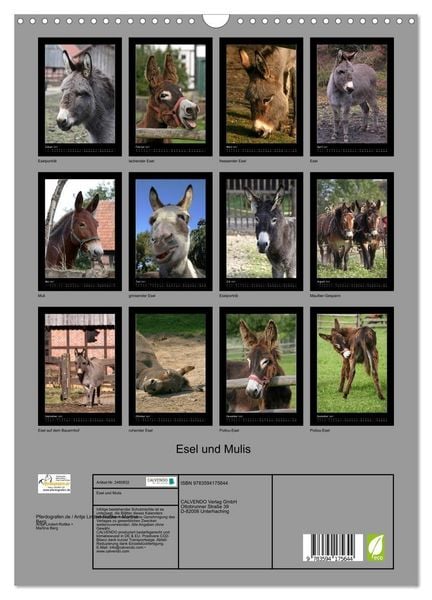 Produktbild: Esel und Mulis (Wandkalender 2027 DIN A3 hoch), CALVENDO Monatskalender