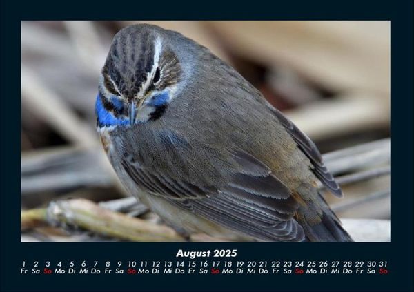 Produktbild: Vogelparadies 2025 Fotokalender DIN A4