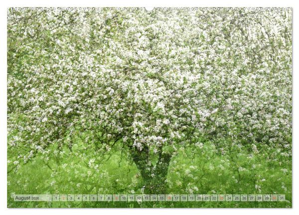 Produktbild: Vielfalt der B&auml;ume - variety of trees (hochwertiger Premium Wandkalender 2026 DIN A2 quer), Kunstdruck in Hochglanz