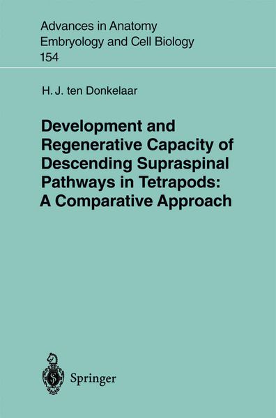 Produktbild: Development and Regenerative Capacity of Descending Supraspinal Pathways in Tetrapods