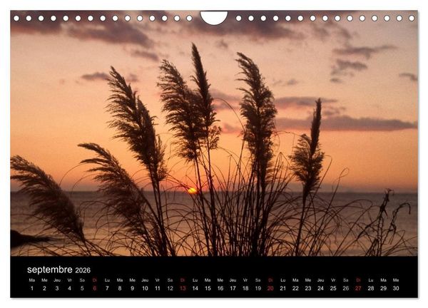 Produktbild: Couchers de soleil (Calendrier mural 2026 DIN A4 vertical), CALVENDO calendrier mensuel