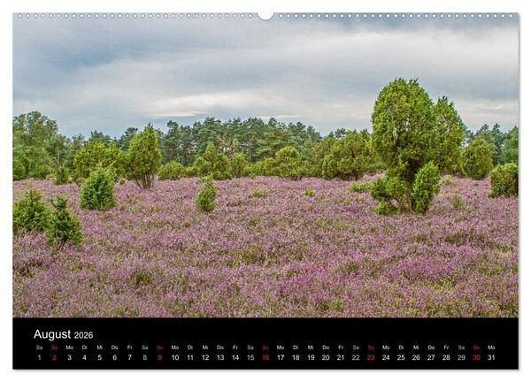 Produktbild: L&uuml;neburger Heide (hochwertiger Premium Wandkalender 2026 DIN A2 quer), Kunstdruck in Hochglanz