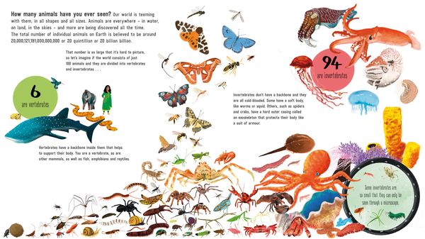 Produktbild: IF WORLD WERE 100 ANIMALS PB