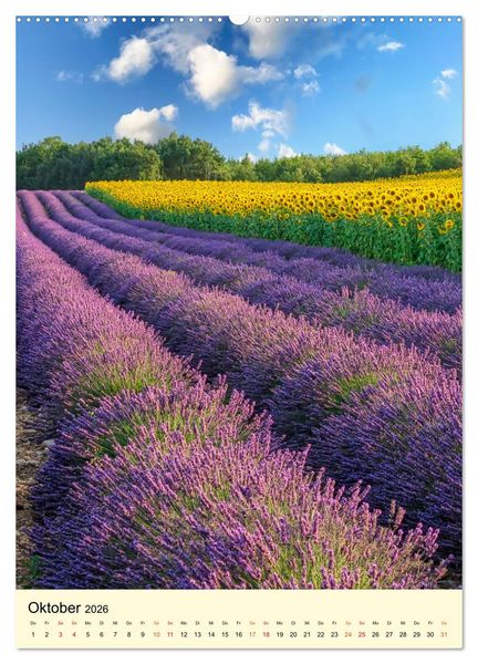 Produktbild: Provence Lavendel Paradies (Wandkalender 2026 DIN A2 hoch), CALVENDO Monatskalender