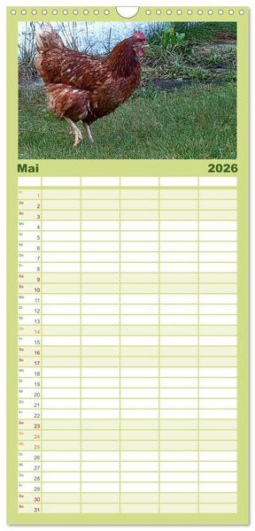 Produktbild: Familienplaner 2026 - Die H&uuml;hner sind los! mit 5 Spalten (Wandkalender, 21 x 45 cm) CALVENDO