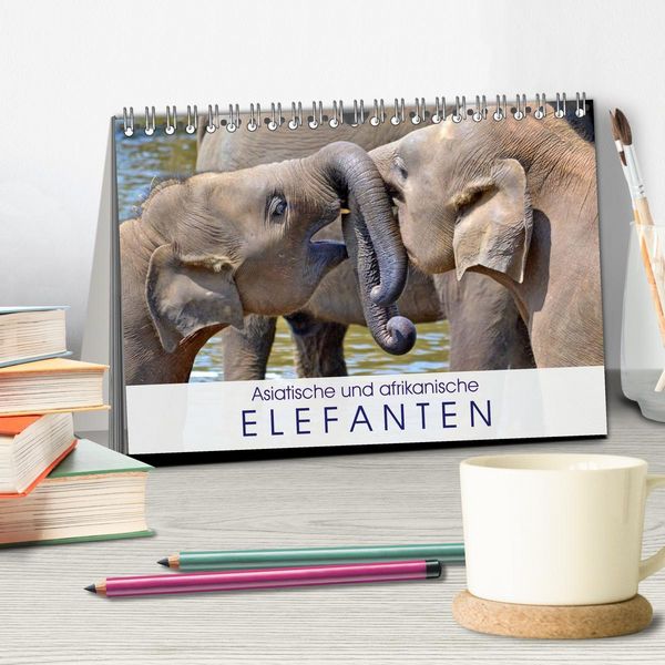 Produktbild: Asiatische und afrikanische Elefanten (Tischkalender 2026 DIN A5 quer), CALVENDO Monatskalender