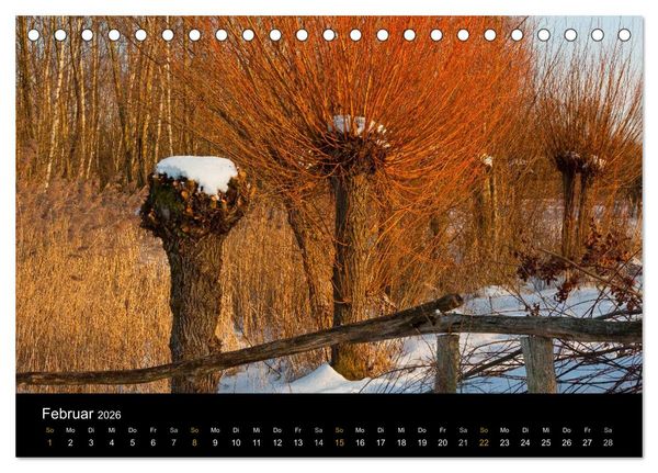Produktbild: Brandenburg - Landschaften zwischen Elbe und Oder (Tischkalender 2026 DIN A5 quer), CALVENDO Monatskalender