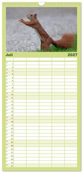 Produktbild: Familienplaner 2027 - Mit dem Eichh&ouml;rnchen durchs Jahr mit 5 Spalten (Wandkalender, 21 x 45 cm) CALVENDO