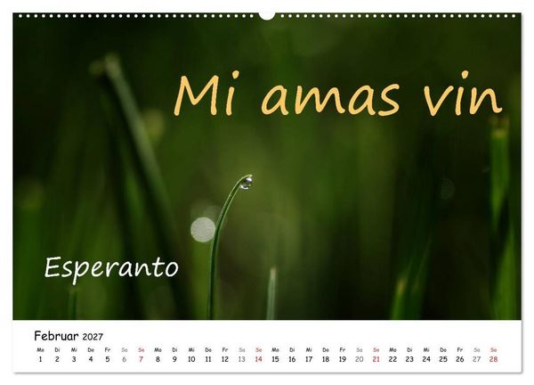 Produktbild: Ich liebe Dich (hochwertiger Premium Wandkalender 2027 DIN A2 quer), Kunstdruck in Hochglanz