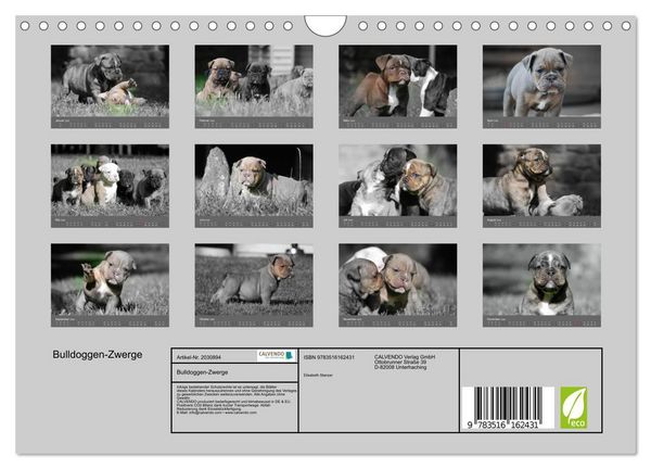 Produktbild: Bulldoggen-Zwerge (Wandkalender 2026 DIN A4 quer), CALVENDO Monatskalender