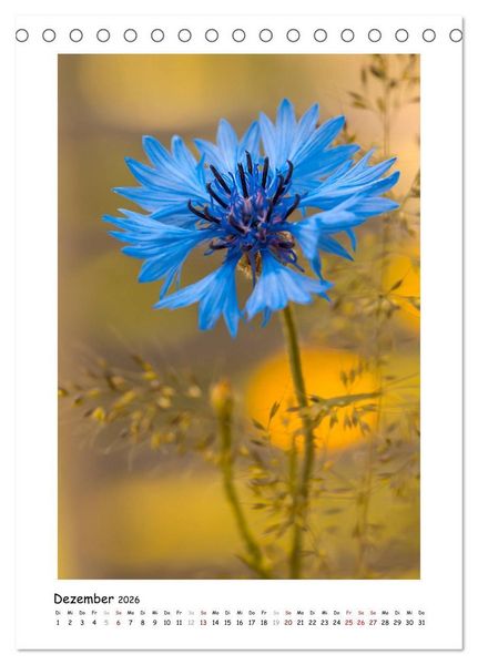 Produktbild: Blauer Bl&uuml;tenzauber (Tischkalender 2026 DIN A5 hoch), CALVENDO Monatskalender