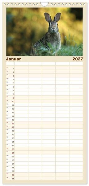 Produktbild: Familienplaner 2027 - Hasen - Die niedlichen Hoppeltiere. mit 5 Spalten (Wandkalender, 21 x 45 cm) CALVENDO