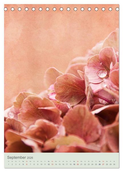Produktbild: Flora (Tischkalender 2026 DIN A5 hoch), CALVENDO Monatskalender