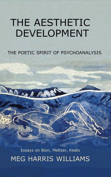 Produktbild: The Aesthetic Development