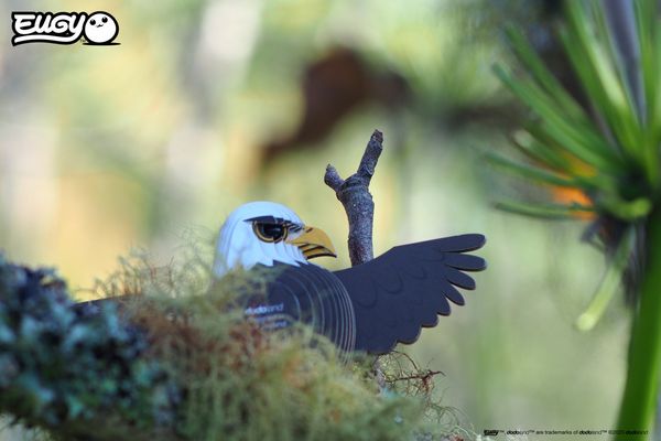 Produktbild: EUGY - 3D Bastelset Weisskopfseeadler