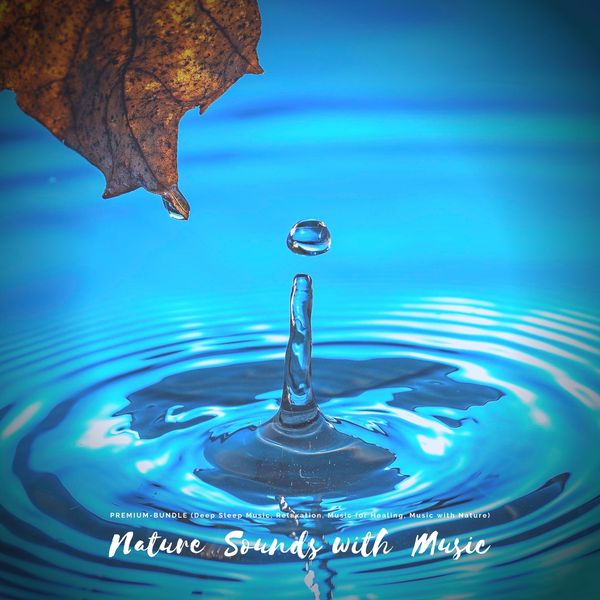 Calming Nature Sounds with Relaxing Music - Yella A. Deeken , Neil Bacharach, Audio, 4064066739430