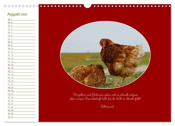 Produktbild: Freilaufende H&uuml;hner (Wandkalender 2026 DIN A3 quer), CALVENDO Monatskalender
