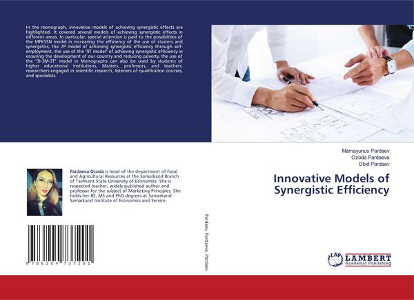 Produktbild: Innovative Models of Synergistic Efficiency