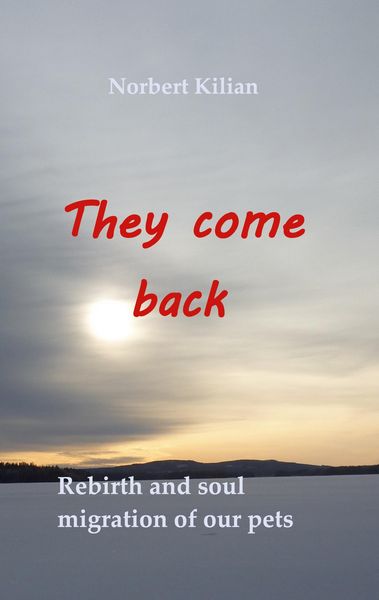 Produktbild: They come back