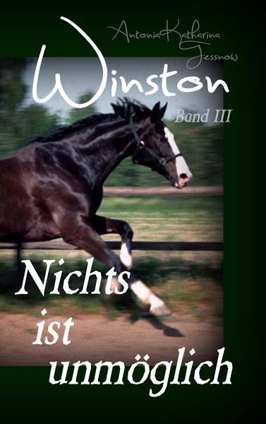 Produktbild: Winston - Nichts ist unm&ouml;glich
