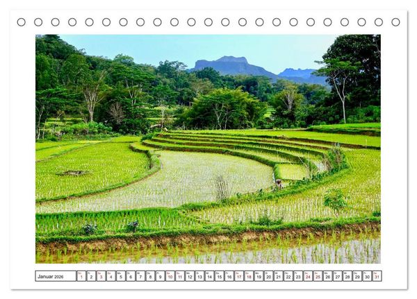 Produktbild: Indonesien. Bali - Java - Sulawesi (Tischkalender 2026 DIN A5 quer), CALVENDO Monatskalender