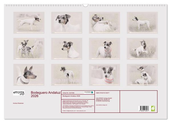 Produktbild: Bodeguero Andaluz 2026 (Wandkalender 2026 DIN A2 quer), CALVENDO Monatskalender