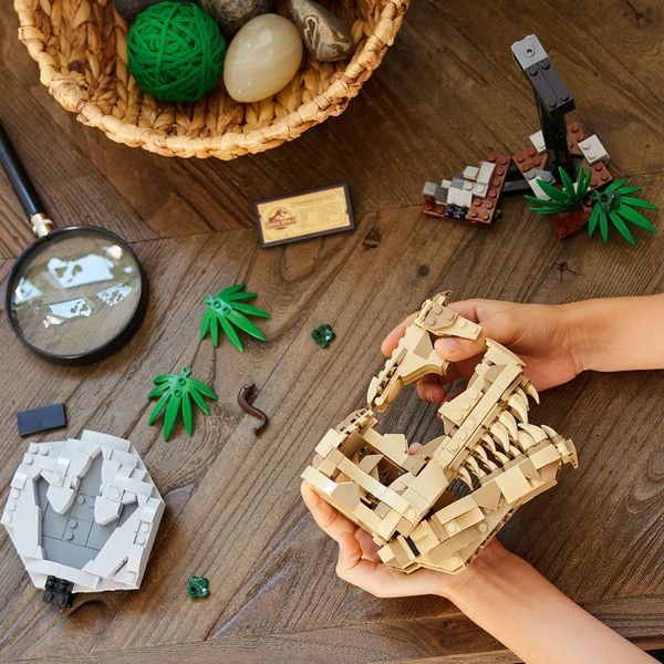 LEGO Jurassic World 76964 Dinosaurier-Fossilien: T.-rex-Kopf, Dino-Spielzeug