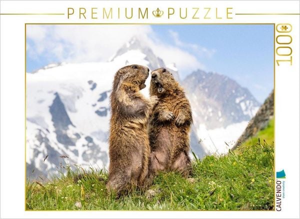 CALVENDO Puzzle Topmodels | 1000 Teile Lege-Größe 64x48cm Foto-Puzzle für glückliche Stunden