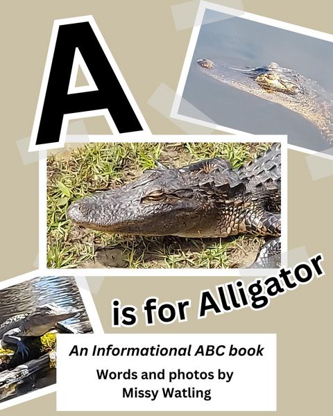 Produktbild: A is for Alligator: An Informational ABC book