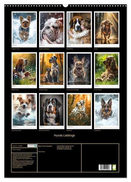 Produktbild: Hunde Lieblinge (Wandkalender 2026 DIN A2 hoch), CALVENDO Monatskalender