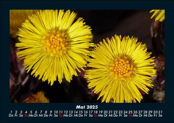 Produktbild: Blumenzauber 2025 Fotokalender DIN A5