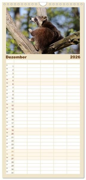 Produktbild: Familienplaner 2026 - Waschb&auml;ren mit 5 Spalten (Wandkalender, 21 x 45 cm) CALVENDO