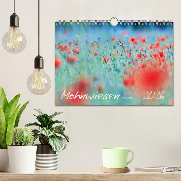Produktbild: Mohnwiesen (Wandkalender 2026 DIN A4 quer), CALVENDO Monatskalender