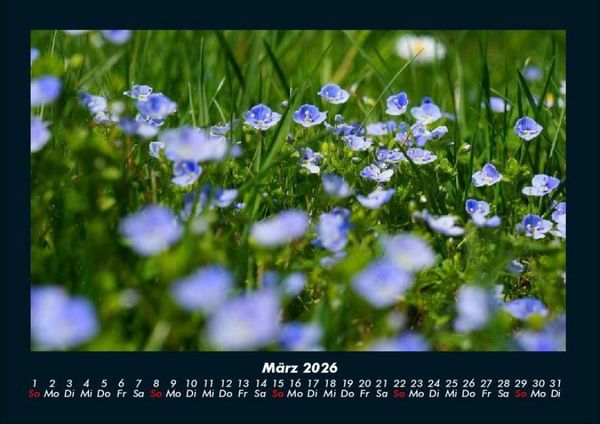 Produktbild: Blumenkalender 2026 Fotokalender DIN A4