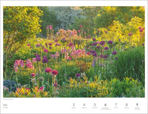 Produktbild: Zauber der Jahreszeiten Gro&szlig;er Wochenkalender 2027 - Jede Woche ein neues Bild