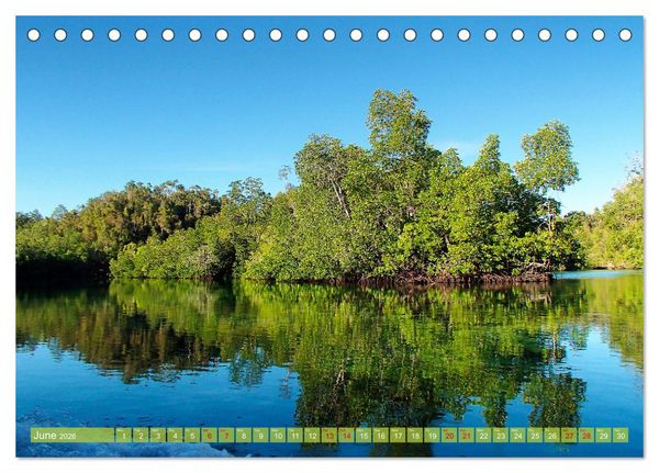 Produktbild: Mangroves - Valuable Habitat (Desk Calendar 2026 DIN A5 landscape), CALVENDO 12 Month DeskCalendar