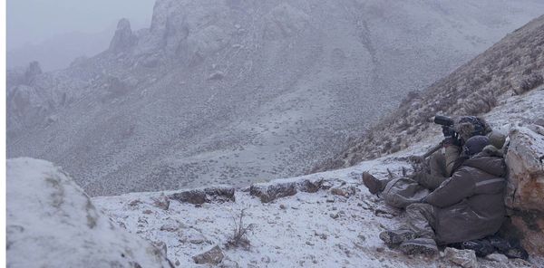 Produktbild: Der Schneeleopard