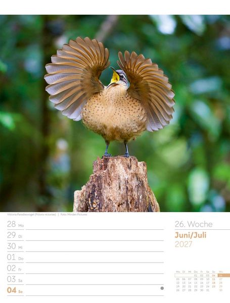 Produktbild: V&ouml;gel Wochenplaner Kalender 2027
