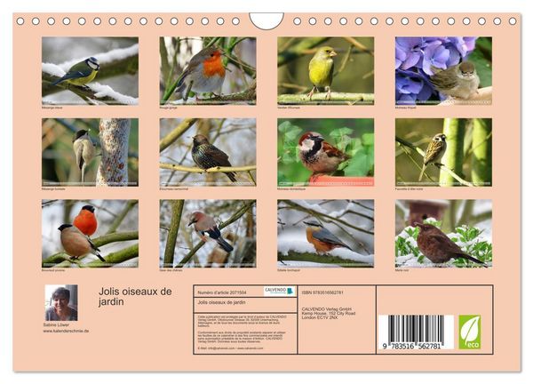 Produktbild: Jolis oiseaux de jardin (Calendrier mural 2026 DIN A4 vertical), CALVENDO calendrier mensuel