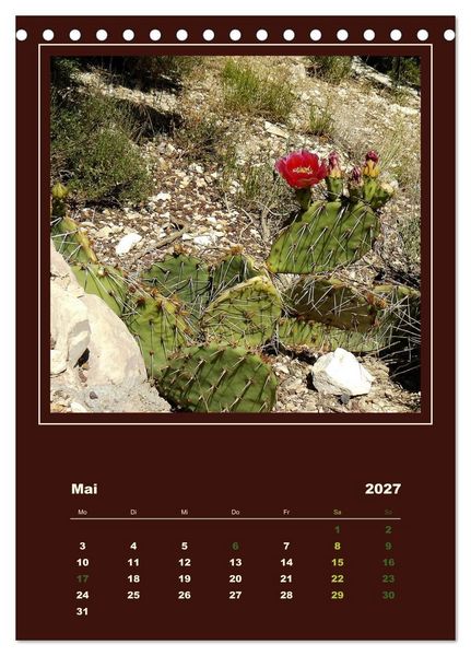 Produktbild: Wilde Kakteen Amerikas (Tischkalender 2027 DIN A5 hoch), CALVENDO Monatskalender