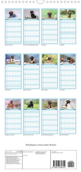 Produktbild: Briardbabys in ihren ersten Wochen - Familienplaner hoch (Wandkalender 2022 , 21 cm x 45 cm, hoch)