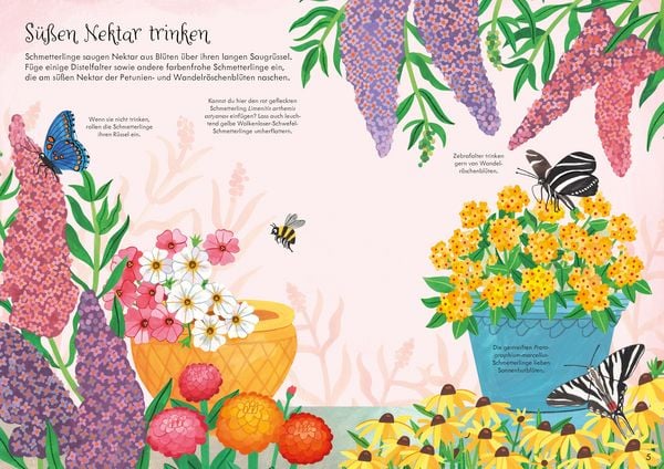 Produktbild: Mein Immer-wieder-Stickerbuch: Schmetterlinge