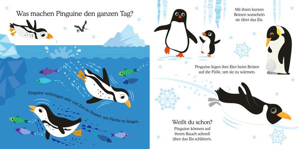 Produktbild: Gl&uuml;cksfisch: Wei&szlig;t du, was die Tiere machen? Kleiner Pinguin