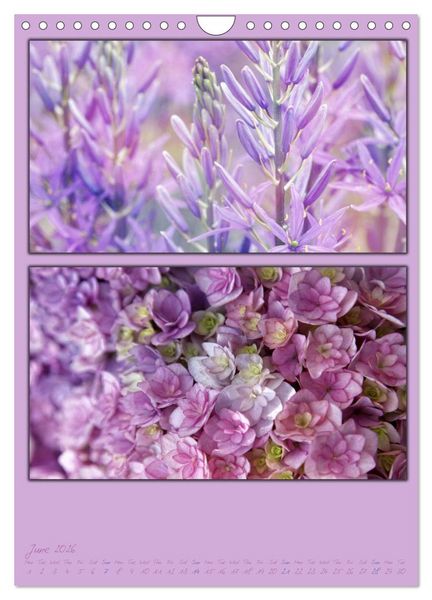Produktbild: Colours of Nature / UK-Version (Wall Calendar 2026 DIN A4 portrait), CALVENDO 12 Month Wall Calendar