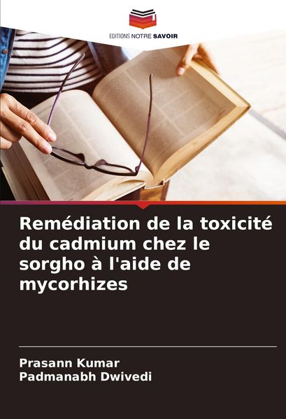 Produktbild: Rem&eacute;diation de la toxicit&eacute; du cadmium chez le sorgho &agrave; l'aide de mycorhizes