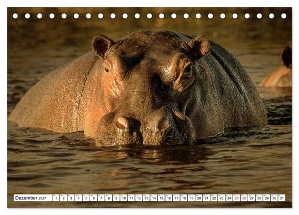 Produktbild: Namibia & Botswana (Tischkalender 2027 DIN A5 quer), CALVENDO Monatskalender