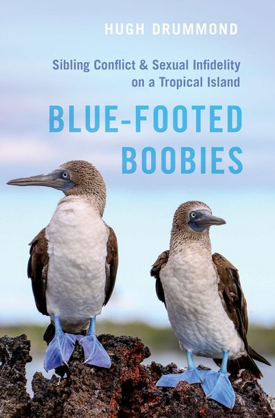 Produktbild: Blue-Footed Boobies