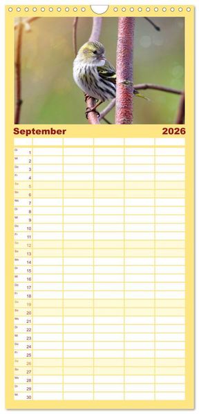 Produktbild: Familienplaner 2026 - Erlenzeisige mit 5 Spalten (Wandkalender, 21 x 45 cm) CALVENDO